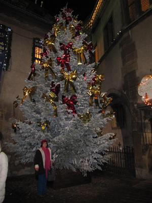 IMG_5915 (Large).JPG