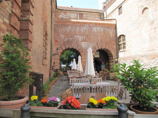 IMG_6749 (Large).JPG