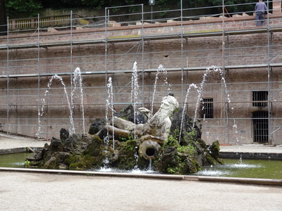 DSC00295.JPG