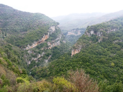 P1060342.JPG