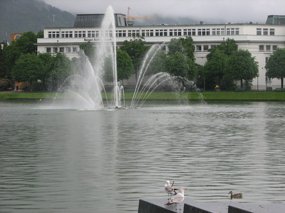 IMG_2862.JPG