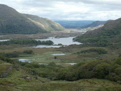 Laidies view (Small).JPG