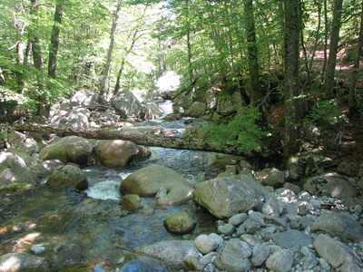 IMG_8173.JPG