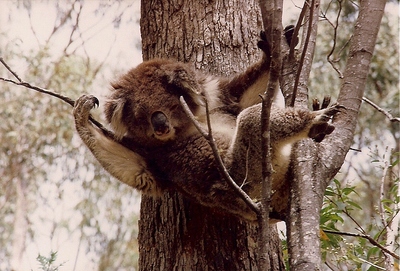 scan0027.jpg