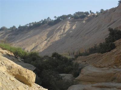 קיבוץ עין גדי על קצה המצוק בכניסה לנחל
