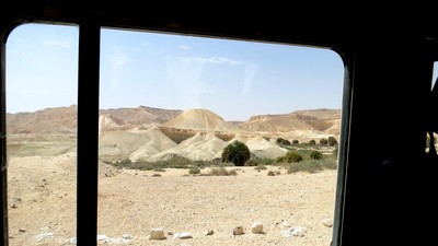 IMG_0711 (Large).JPG