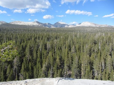 IMG_9065.JPG