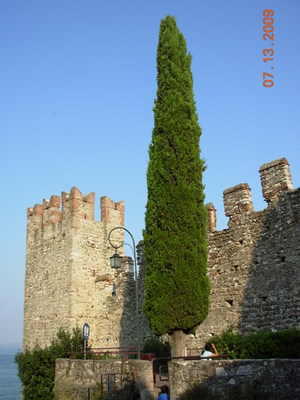DSCN1881.JPG