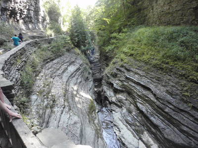 Watkins Glen