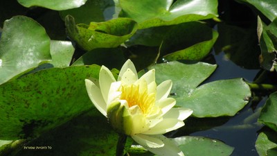 IMG_8935.jpg