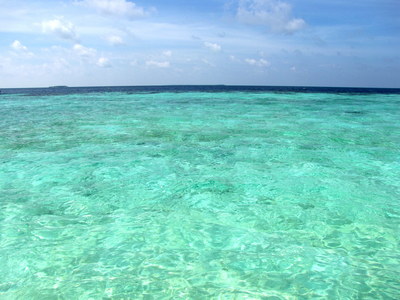 IMG_6657.JPG