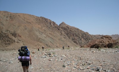 IMG_4774.jpg