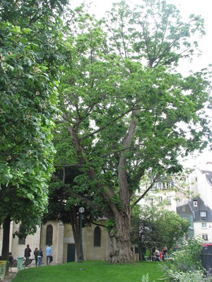 IMG_4560.JPG