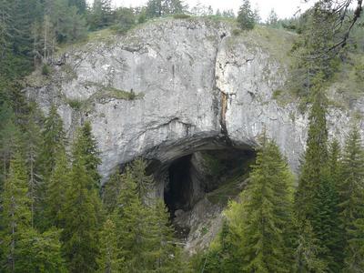 P1020852 (Medium).JPG