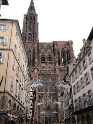 IMG_3965 (Large).JPG