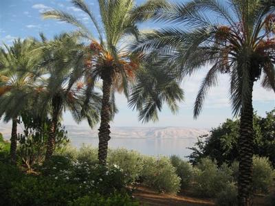 הגנים בהר האושר עם הכנרת ברקע