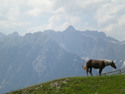 PO20120704_0414.JPG