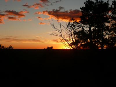 P1050736.JPG