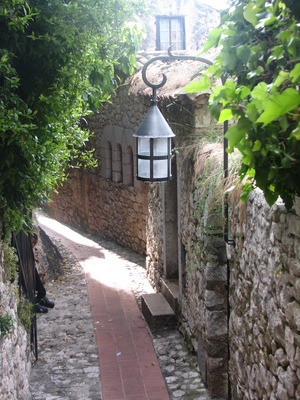 IMG_8533.JPG