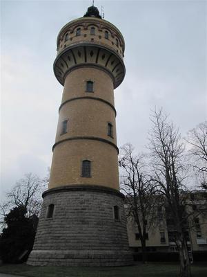 IMG_5621 (Large).JPG