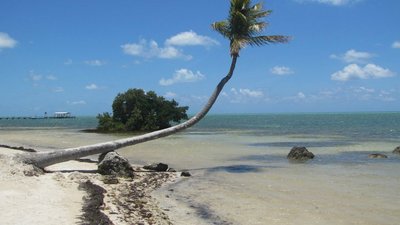 Beach road