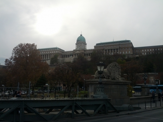 IMG_20131123_122420.jpg