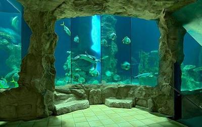 Haus_des_Meeres_Aquarium_Zoo.jpg