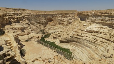 IMG_0411 (Large).JPG