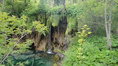 DSC02320.JPG