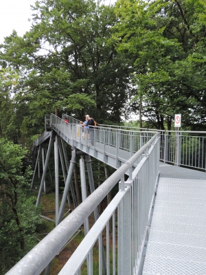 Treetop Trail מסלול טיול בגובה העצים