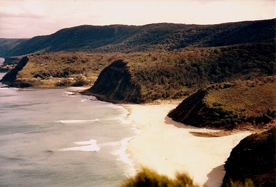 scan0003.jpg