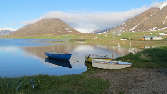 IMG_1018 (Large).JPG