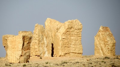 IMG_0601 (Large).JPG