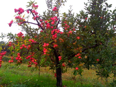 2011-10-25 14.06.42.jpg
