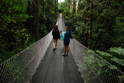 Arenal