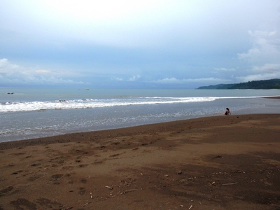 P8020863.JPG