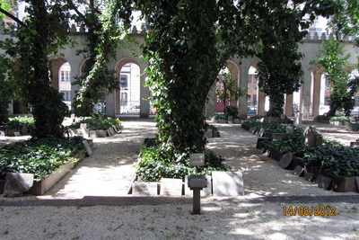 beittcnessetG_4379.jpg