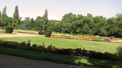 IMG_8980.jpg