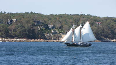 IMG_1791: ספינת מפרש גדולה במפרץ של Gloucester