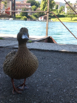 PO20120704_0017.JPG