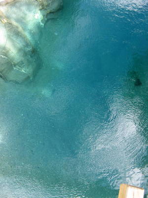 Blue Pools