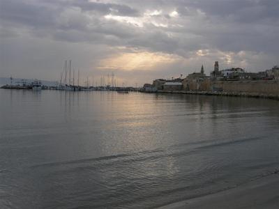 P2240467 (Large).JPG