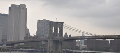 DSC_1457.JPG
