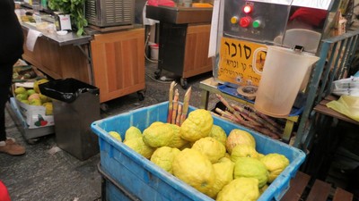 IMG_0111 (Large).JPG