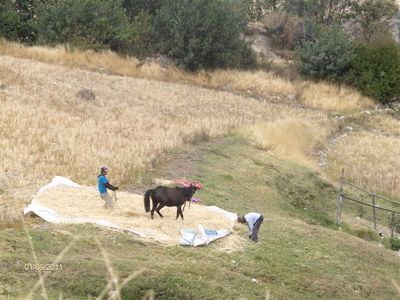 old farmy life in the way to lake parun