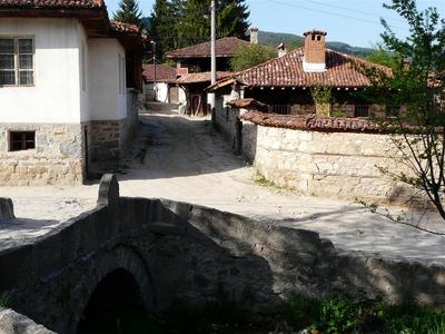 P1020997 (Medium).JPG