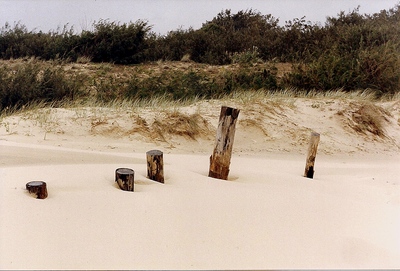 scan0016.jpg