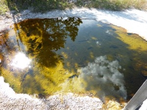 West Thumb Basin, ילוסטון.