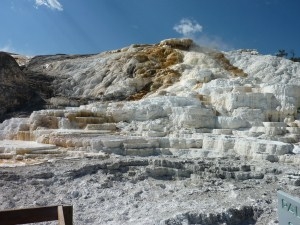 Mammoth Hot Springs, ילוסטון.