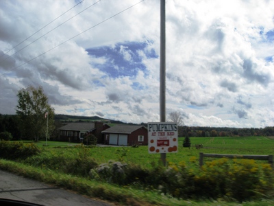 countryside